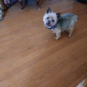 Meet your Posher, Sherry