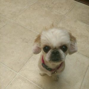 Meet your Posher, April