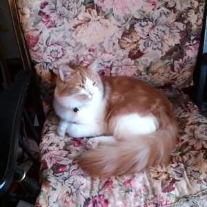 Meet your Posher, Sandi