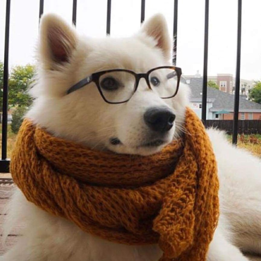 Meet your Posher, Tanner