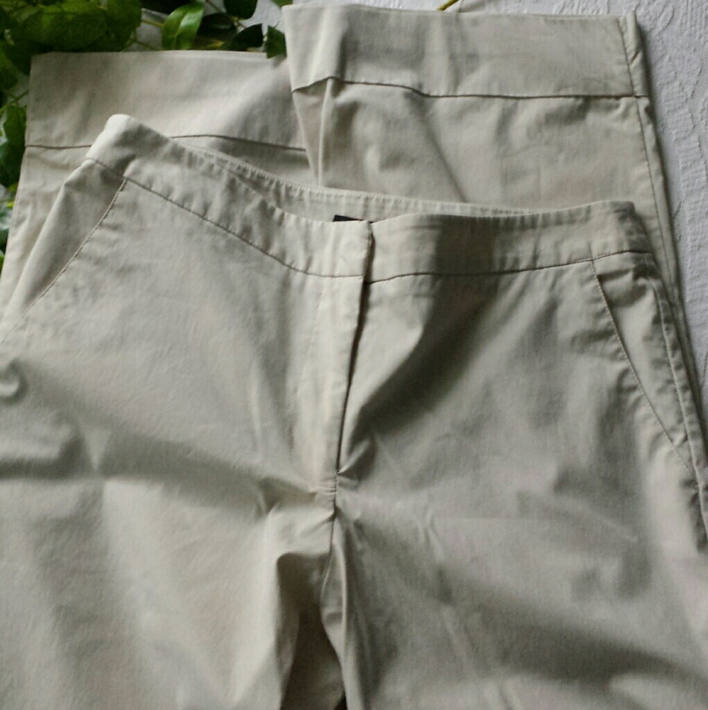 New York &Company  pants