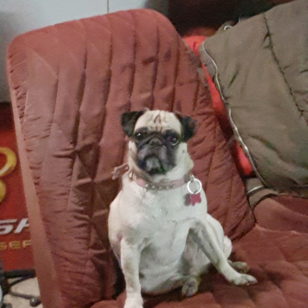 Meet your Posher, Serena