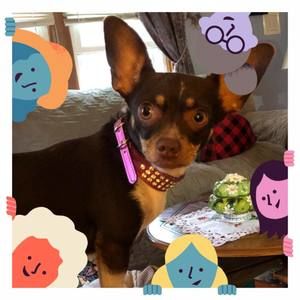 Meet your Posher, Donna