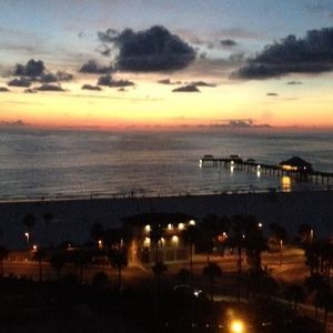 Meet your Posher, Zavier