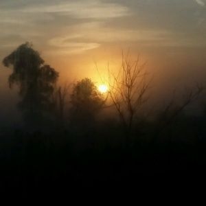 Meet your Posher, Joanie