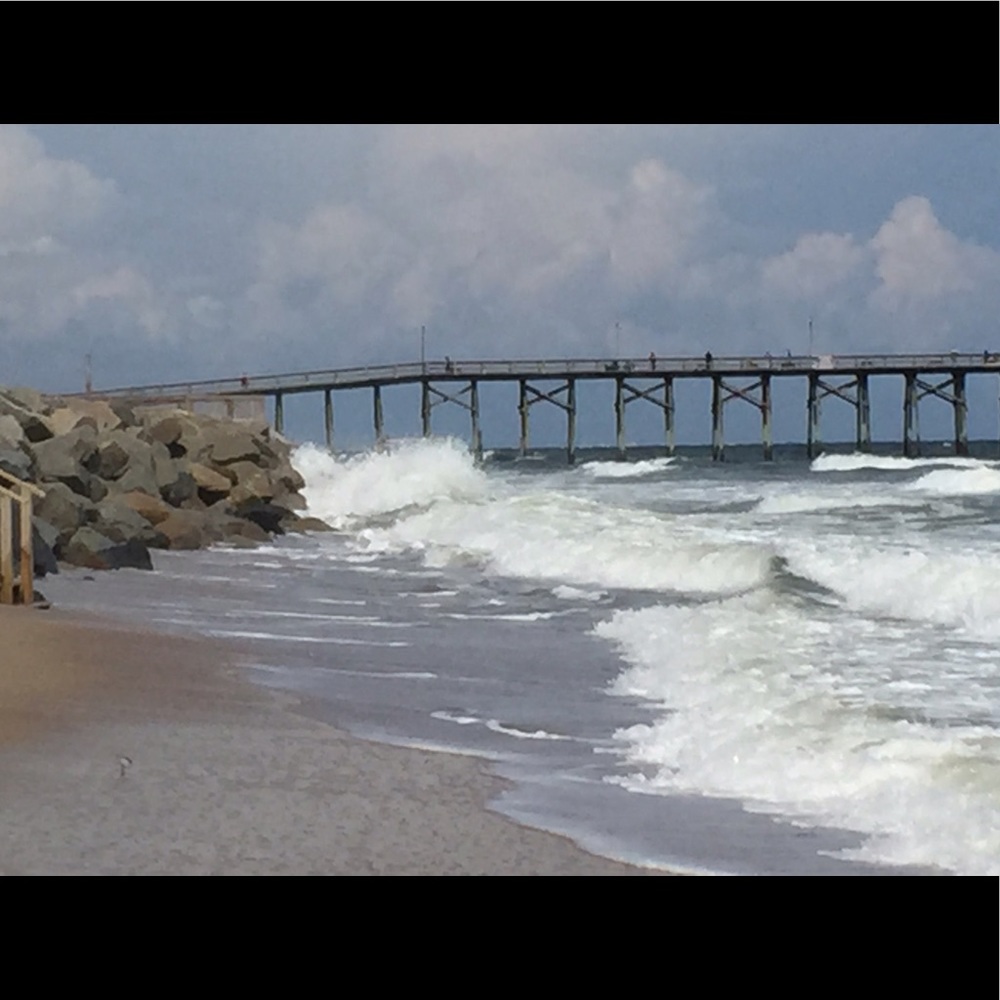 Meet your Posher, Renee