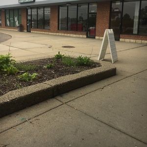 Meet your Posher, Marcy