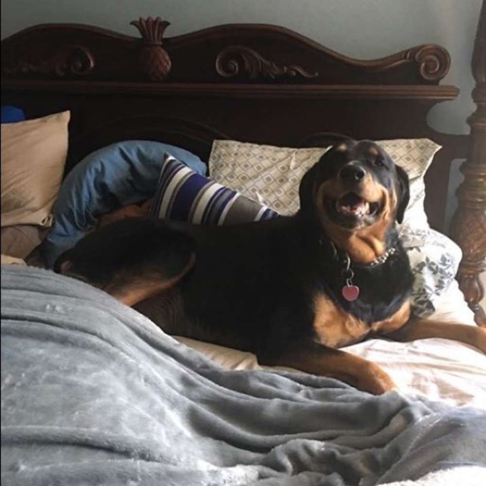 Meet your Posher, Denise