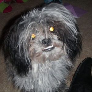 Meet your Posher, Kim