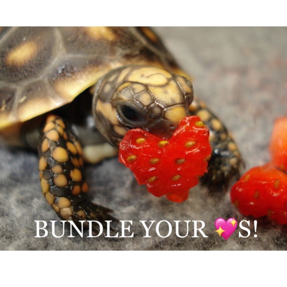 ADD YOUR ❤️s TO BUNDLE FOR A PRIVATE OFFER!