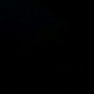 Meet your Posher, Paul