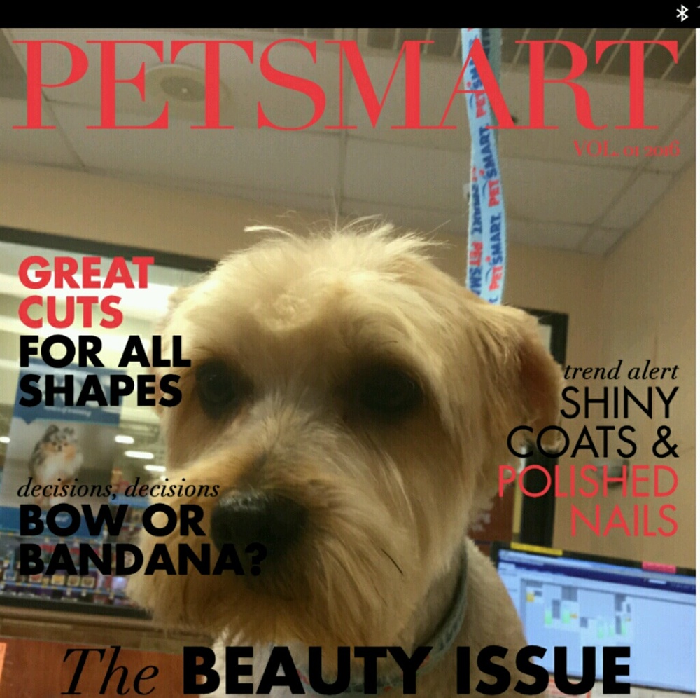 Meet your Posher, Ruth