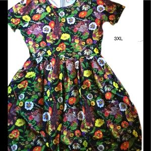 LuLaRoe Amelia Dress