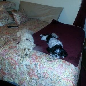 Meet your Posher, Michele