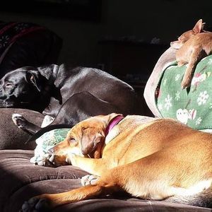 Meet your Posher, Jaime