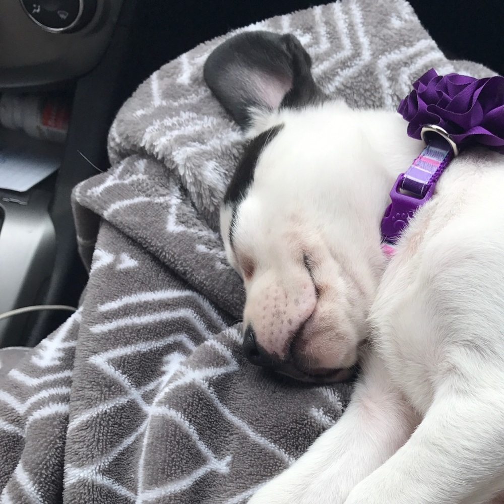 Meet your Posher, Kim