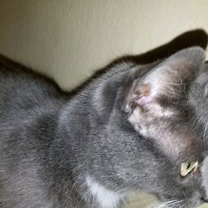 Meet your Posher, Jay'ne