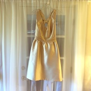Adrianna Papell Dress