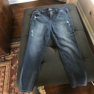 Torrid jeans