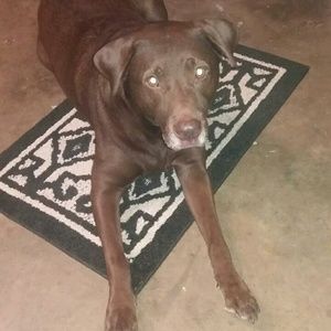 Meet your Posher, Caitlin