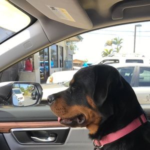 Meet your Posher, Doreen