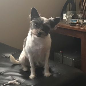 Meet your Posher, Catherina