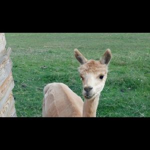 Meet your Posher, April
