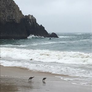 Meet your Posher, Monica