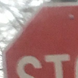 Meet your Posher, Hayden