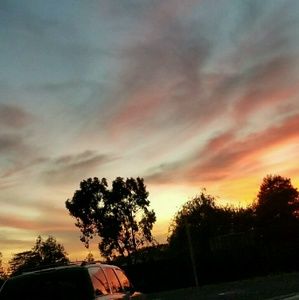 Meet your Posher, Araceli