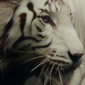 Meet your Posher, Felicia