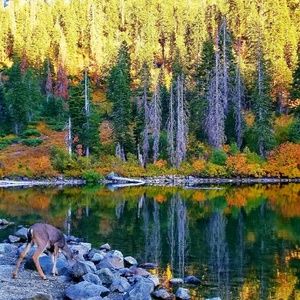Fall Greetings From Mount Shasta!