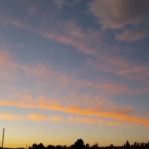 Meet your Posher, Liz