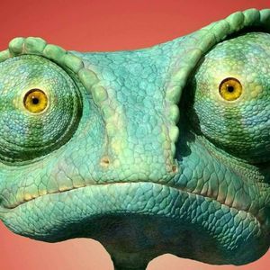 Meet your Posher, Dawn