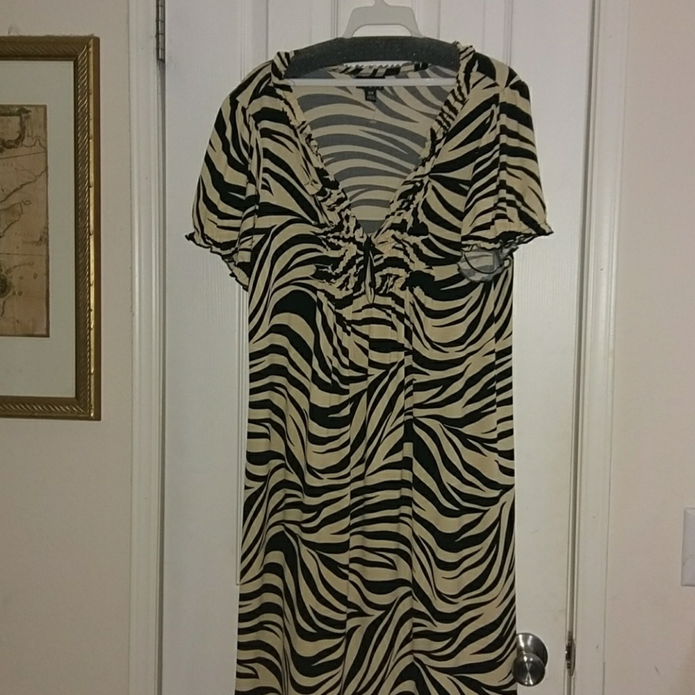 Enfocus mini dress