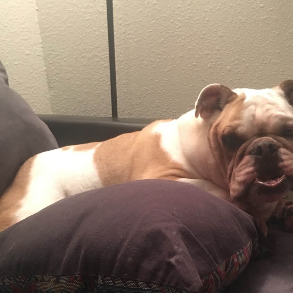 Meet your Posher, Camille