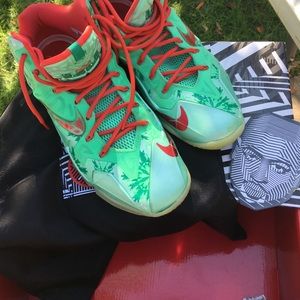 Christmas Edition Nike Lebron James shoe