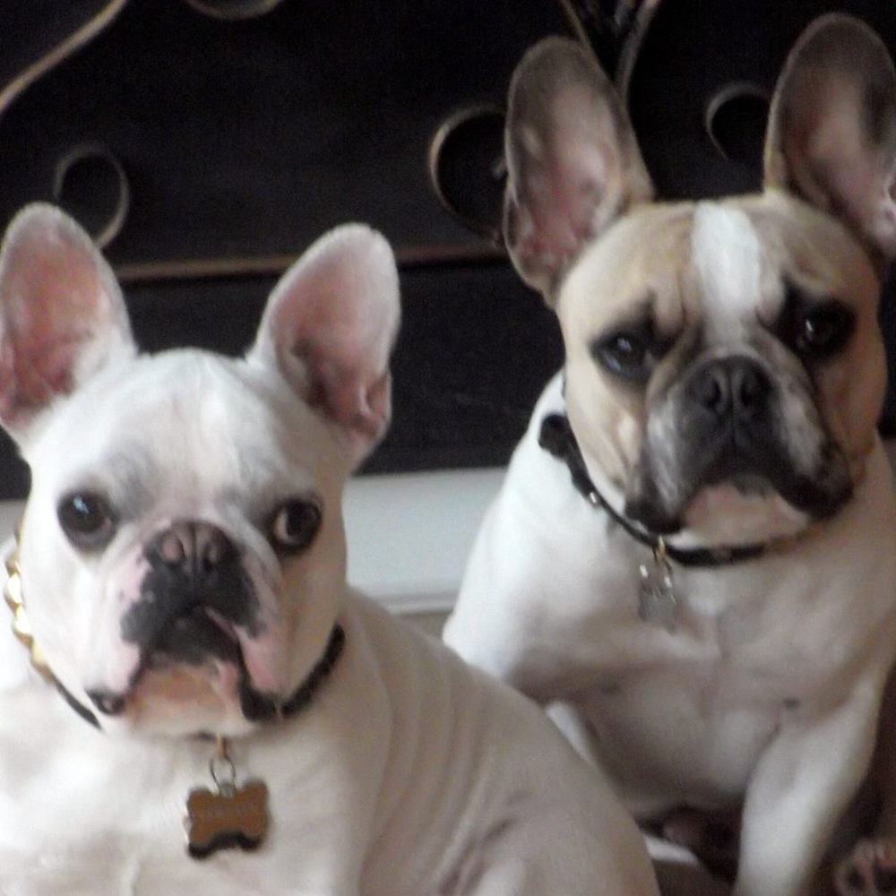 Meet your Posher, Debra