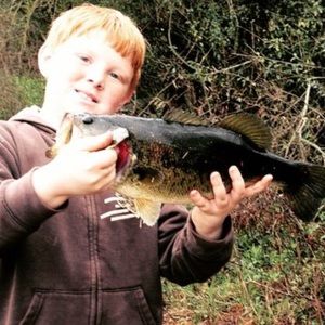 Meet your Posher, Andrew