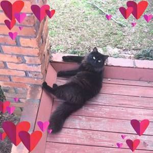 Meet your Posher, Sandra