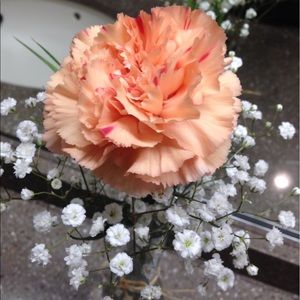 Meet your Posher, Minh