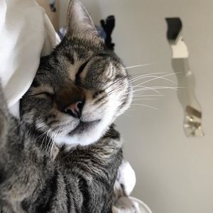 Meet your Posher, Mariah