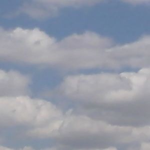 Meet your Posher, Cathy