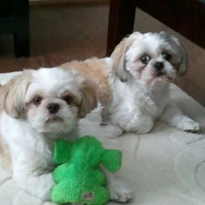 Meet your Posher, Anna