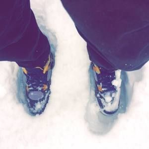 Meet your Posher, Alex