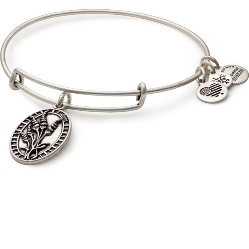 Alex and Ani Silver Aunt Charm Bangle