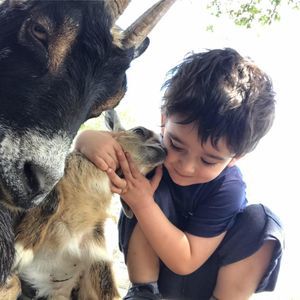 Meet your Posher, Pelin