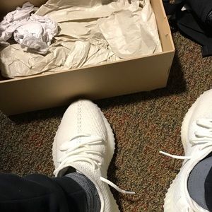 Meet your Posher, Bradly