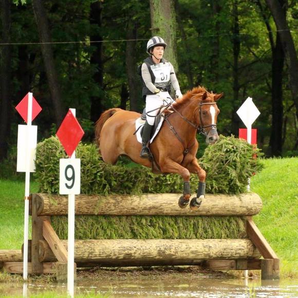 Meet your Posher, Molly - Picture 1 of 1