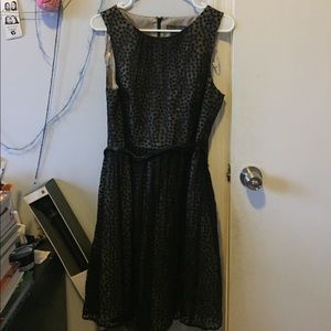 Black and Tan polka dot dress